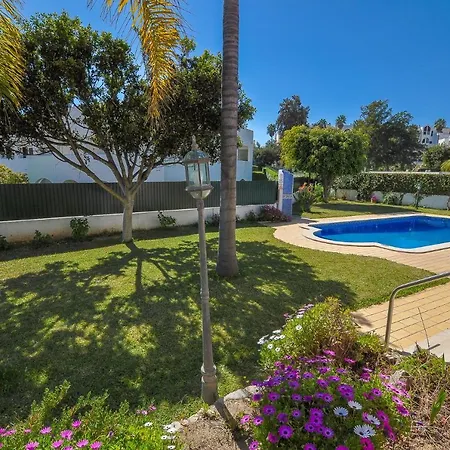 Casa Palmeiras By Ocvillas