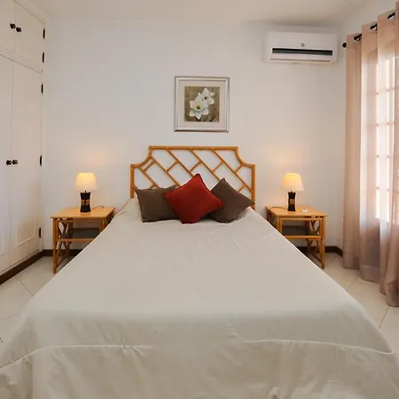 Casa Palmeiras By Ocvillas *